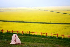 百里花海