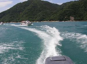 雷公島[湖南省郴州市雷公島]