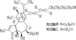 芫花酯甲