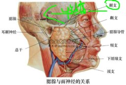 牙科恐懼