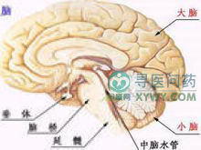 小兒遺傳性共濟失調