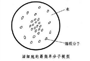 生物物質輻射化學