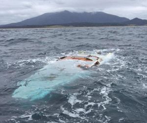 海上救難：殘骸海岸