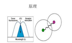 共振轉移