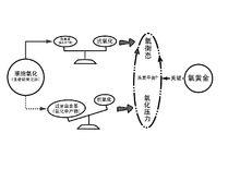 氧衡態