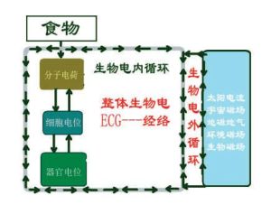 生物電循環轉化圖