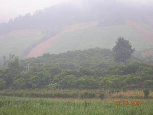 忙樂自然村五組種植業