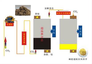 超臨界流體萃取