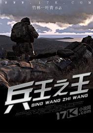 兵王之王[17K小說網竹林一葉青作品]