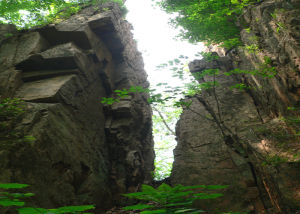 烏拉山森林公園