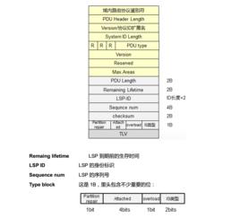 LSP[鏈路狀態包/鏈路狀態協定]