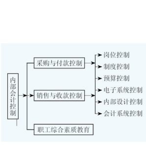 企業內部會計控制