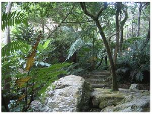 深圳仙湖植物園