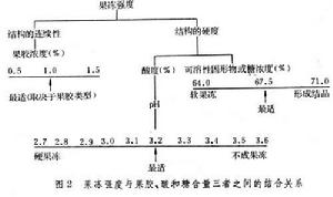 水果罐藏