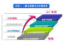 6大活性質量保障系統