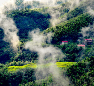 馬頭山自然保護區