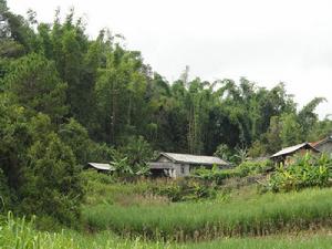 小阿永一組村