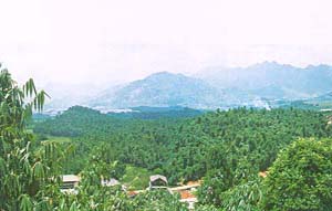 埔田生態農業觀光風景區