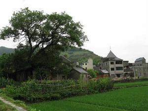 礦山村[吉林集安市清河鎮下轄村]