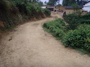 大橋河村通村道路