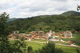 顧家莊村[河北清河縣葛仙莊鎮顧家莊村]