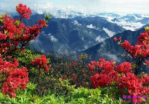 龍泉山[山東省沂水縣龍泉山]