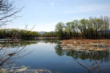 翠湖濕地公園