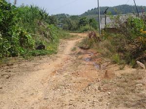 進村道路