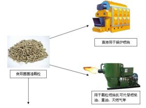 食用菌菌渣烘乾機套用