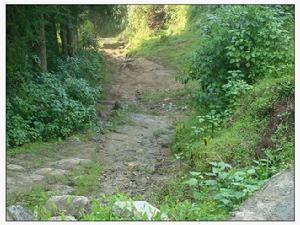 棠梨坪自然村村內山路