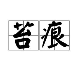 苔痕[漢語詞語]