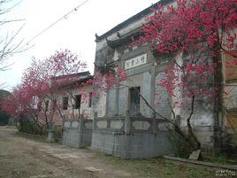 竹山書院