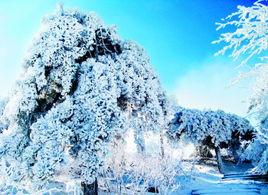 泰山初雪