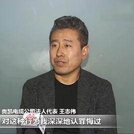 王志偉[陝西奧凱電纜有限公司現任法定代表人]