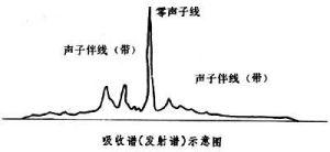 聲子伴線