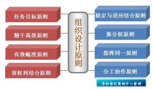 組織流程