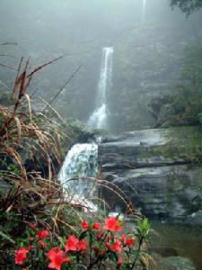 雷公山國家級森林公園