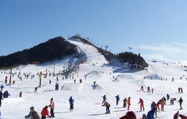 青島藏馬山滑雪場