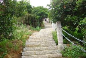 塘朗山郊野公園