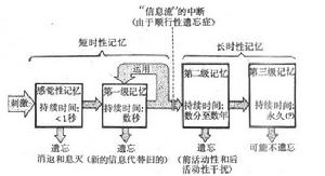 記憶障礙