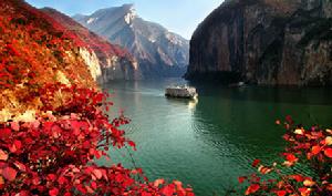 長江三峽國際紅葉節