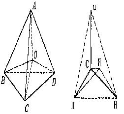 有極分子