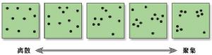 空間分布的形式：離散-集聚