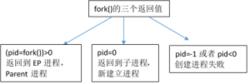 fork的三個返回值