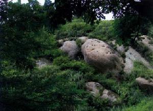 洪慶山國家森林公園