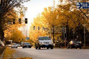 北京西路街景