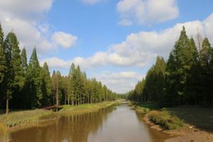 黃海森林公園