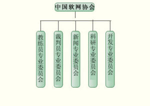 中國軟式網球協會