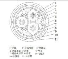 三芯