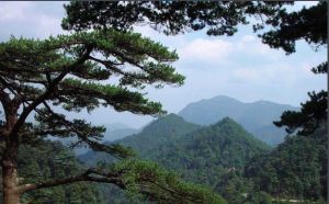 九重山國家森林公園